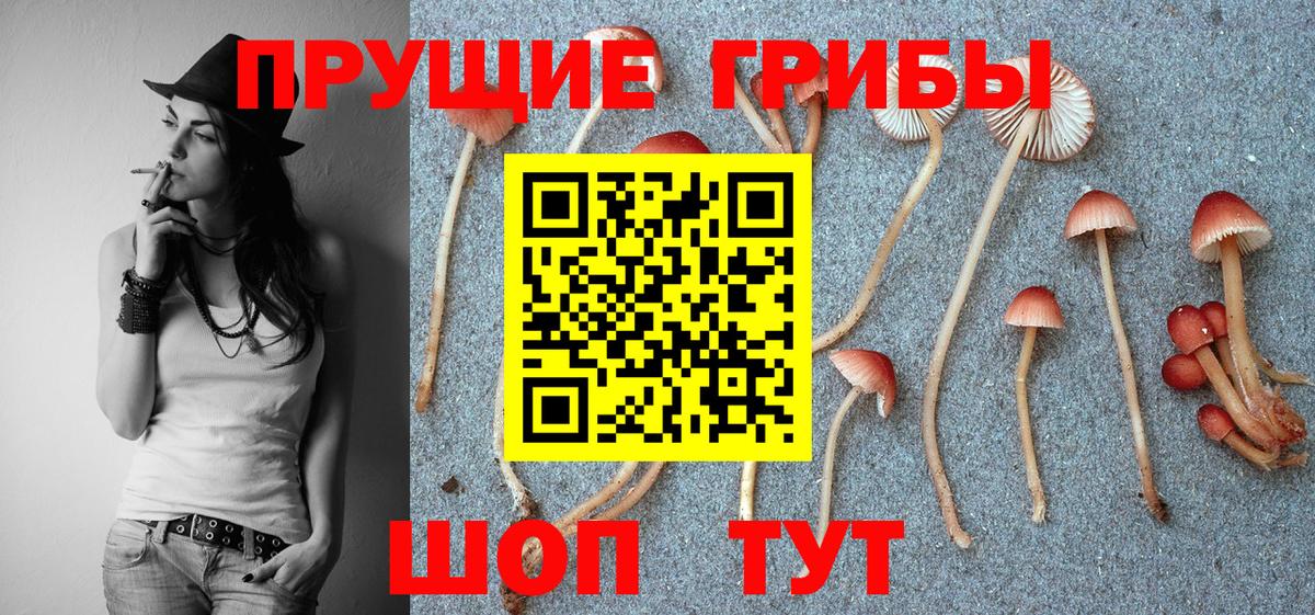Галлюциногенные грибы Psilocybine cubensis  Вход с VPN  Омск 